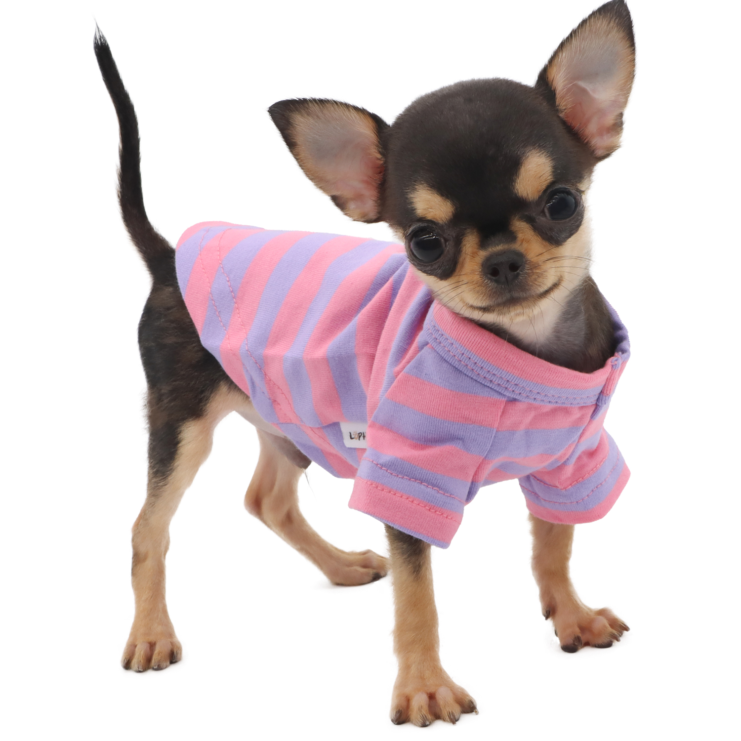 Lophipets striped T-shirt/purple Pink /XXS