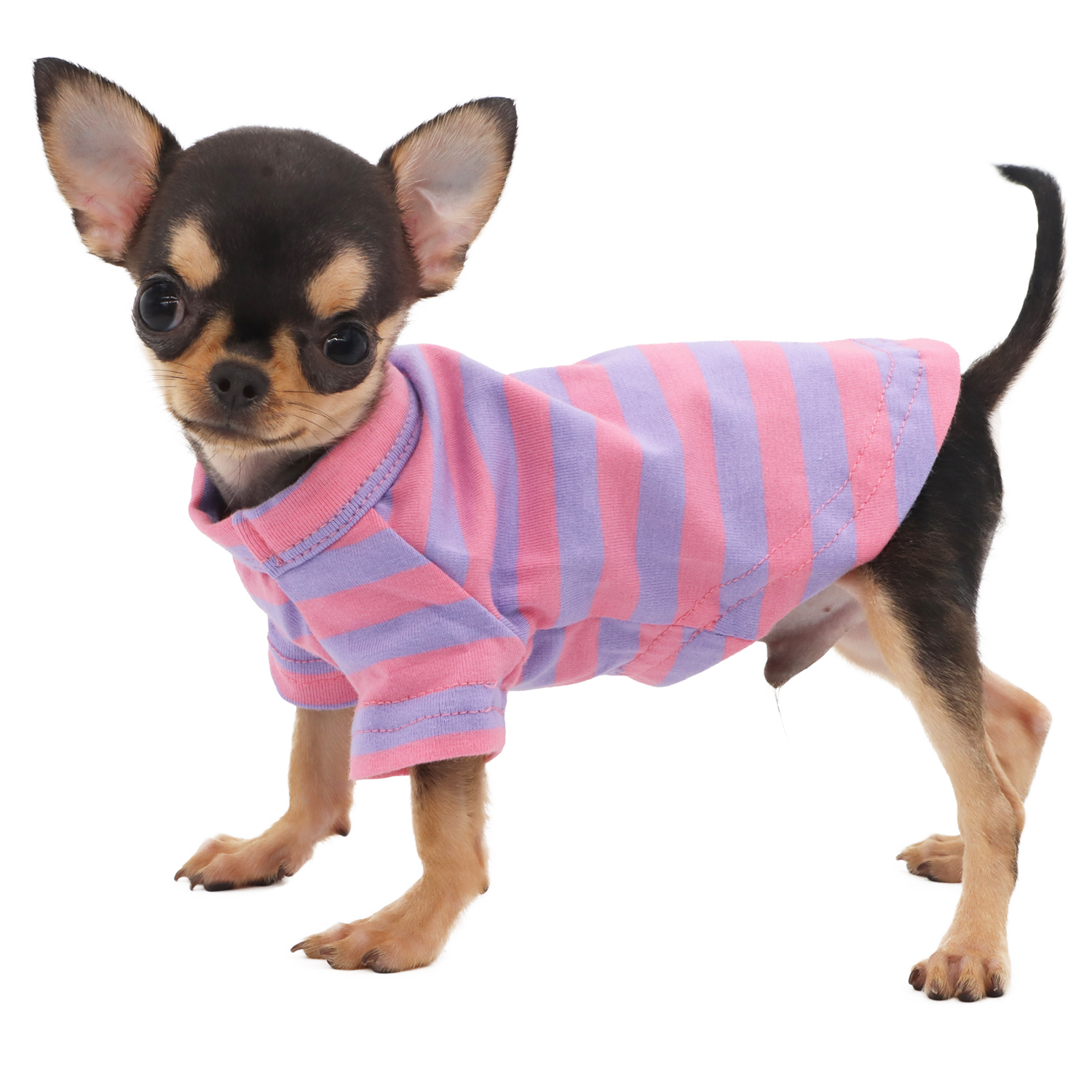 Lophipets striped T-shirt/purple Pink /XXS