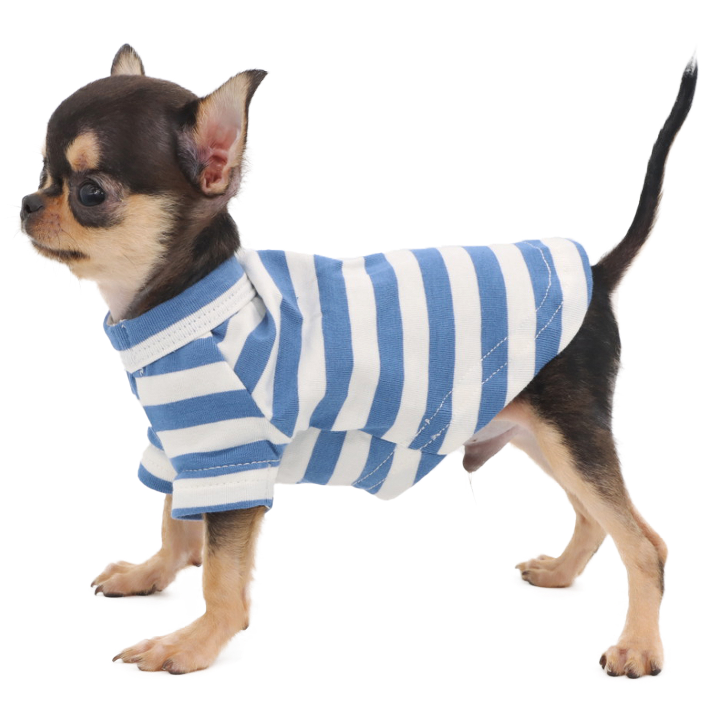 Lophipets Striped T-shirt/Blue and White /XXS
