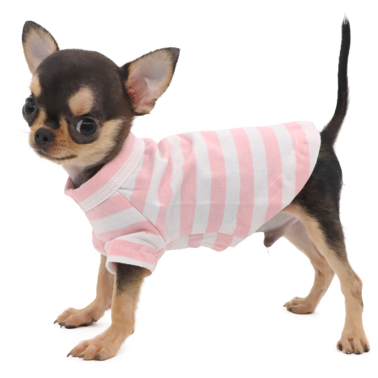 Lophipets striped T-shirt/Pink and white /XXS