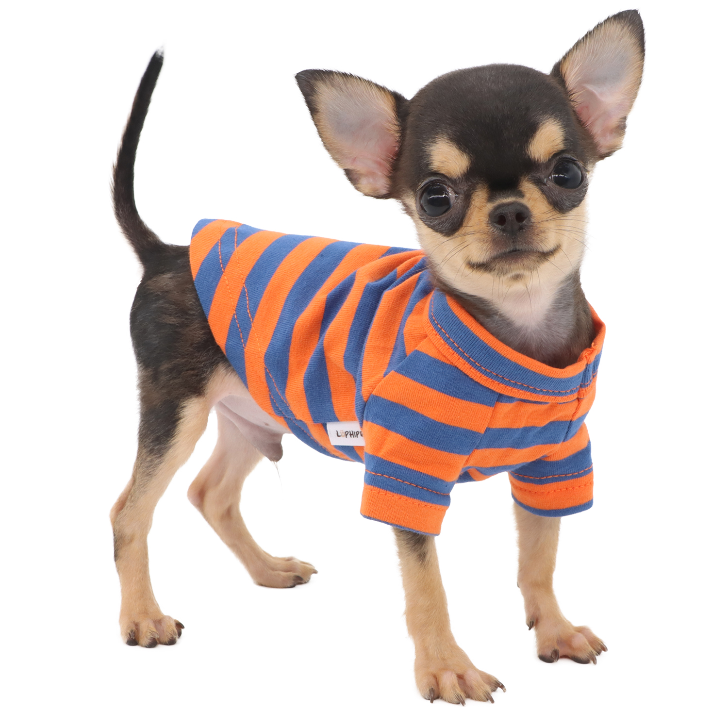 Lophipets Striped T-shirt/Blue Orange /XXS