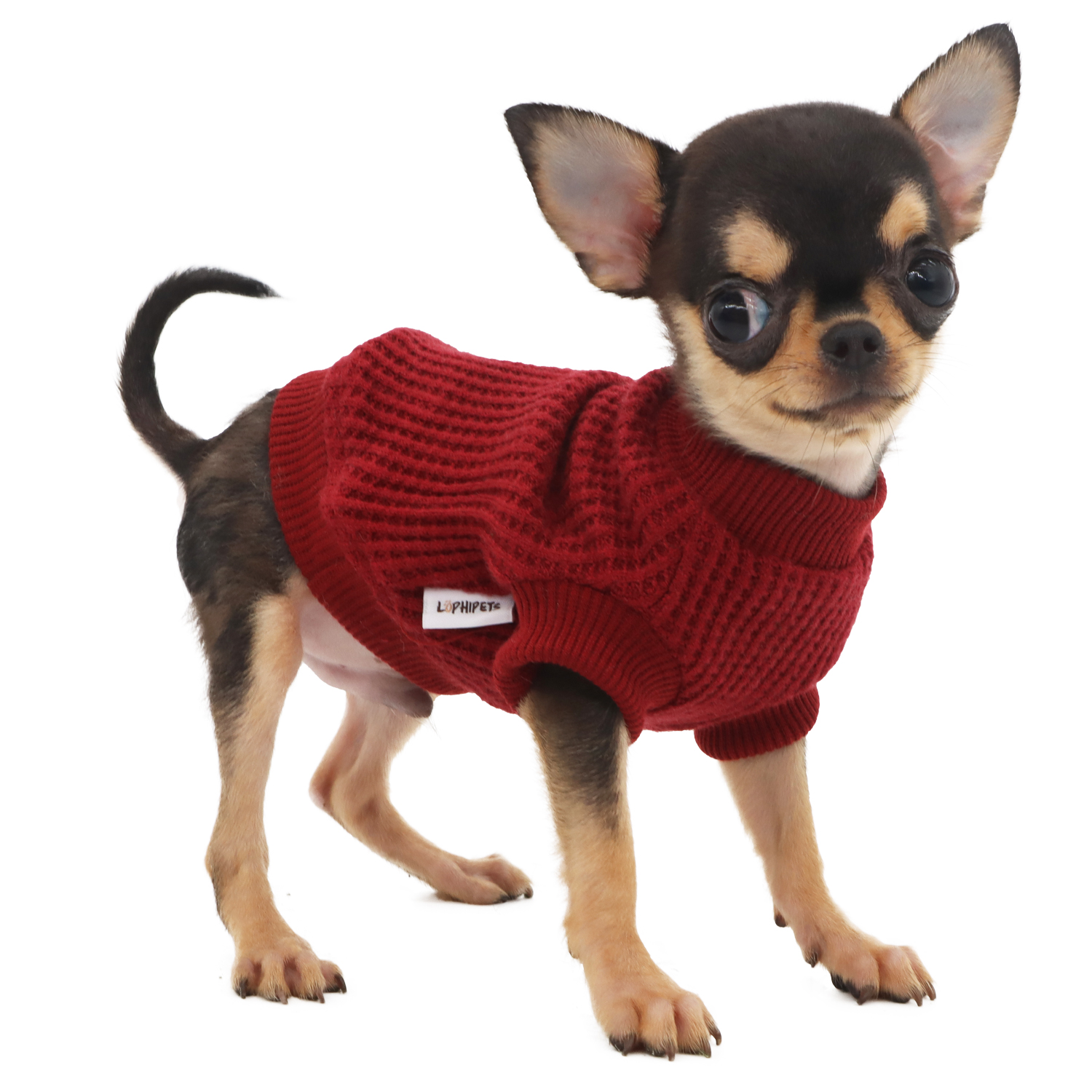 Lophipets sweater/red/XXS