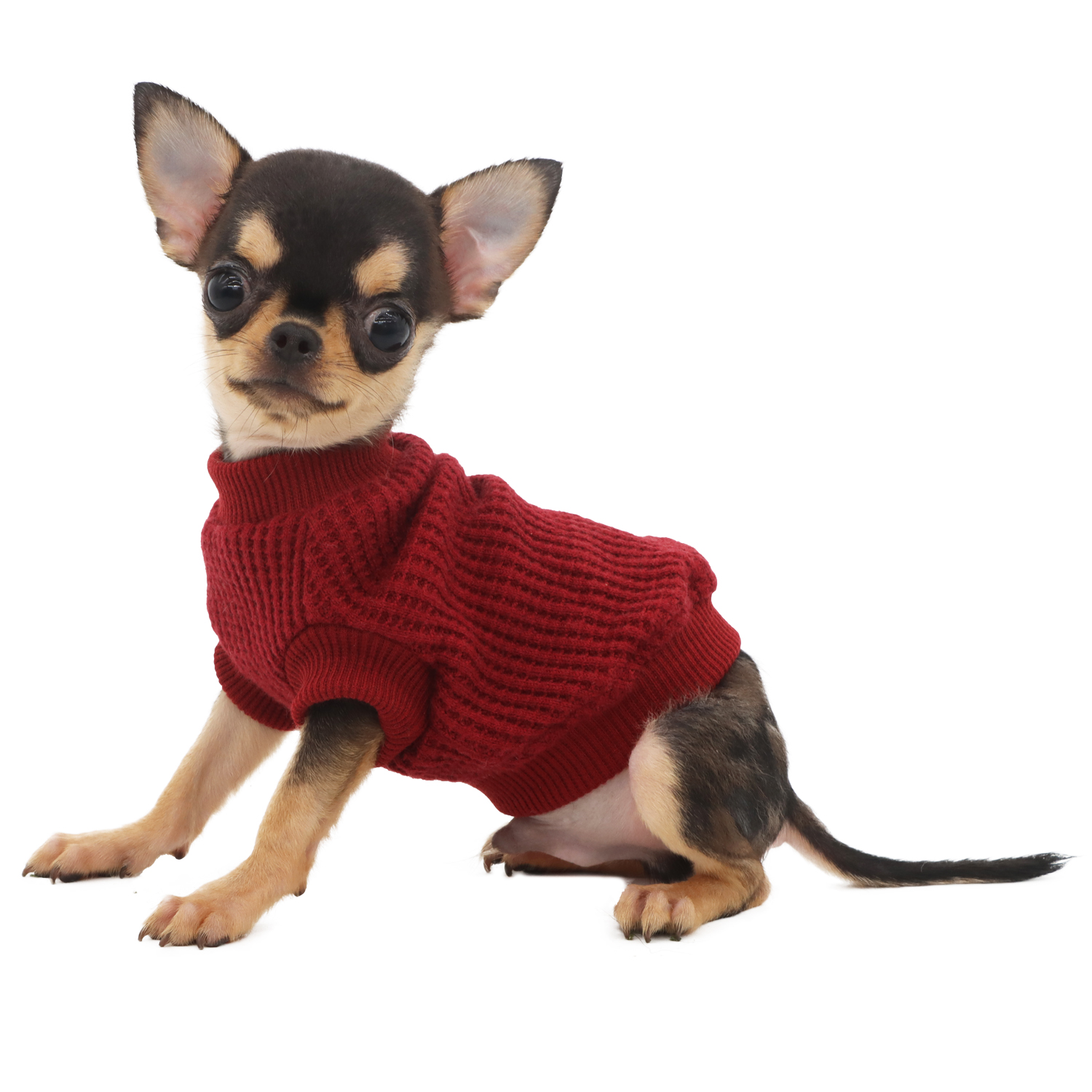 Lophipets sweater/red/XXS