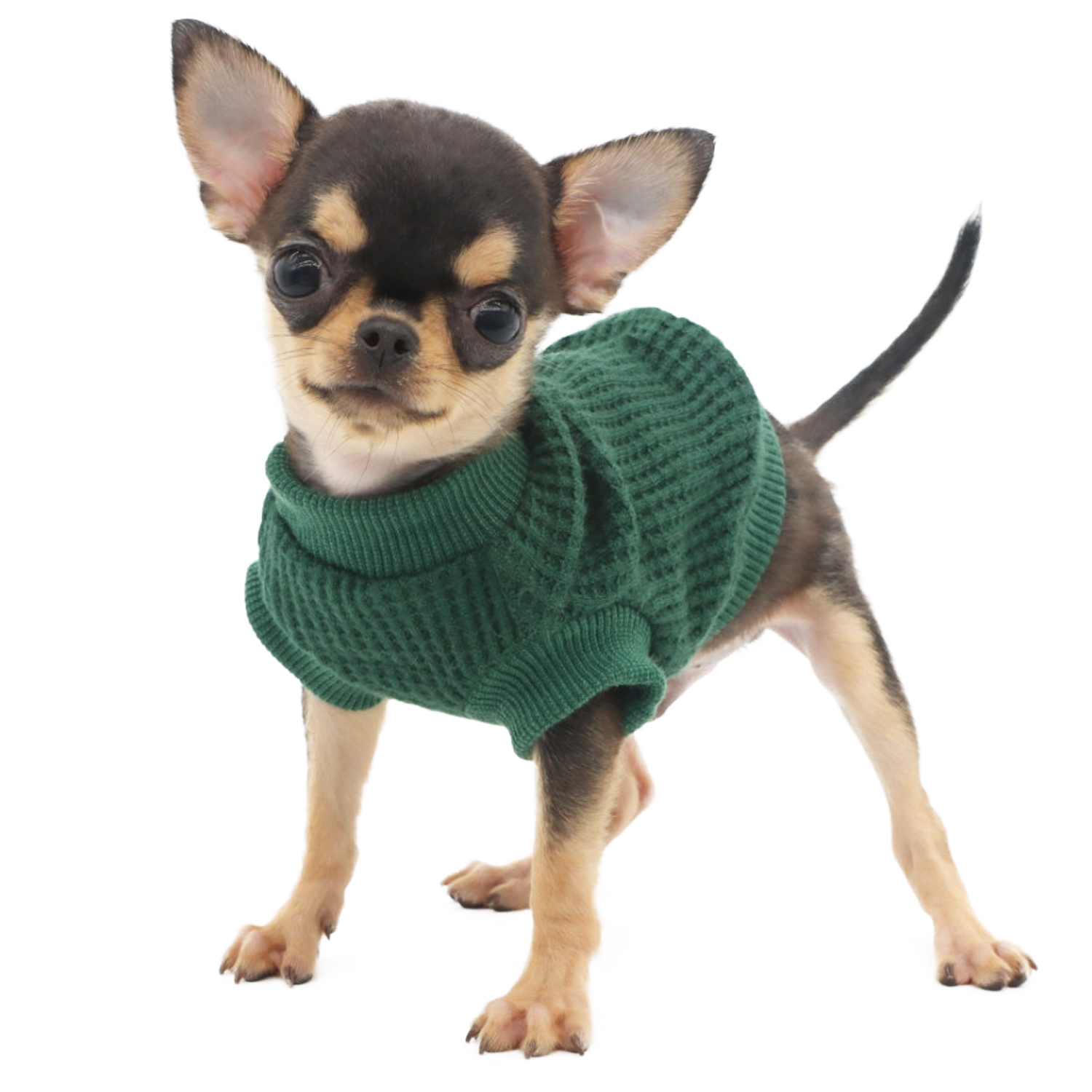 Lophipets sweater/Atrovirens/XXS