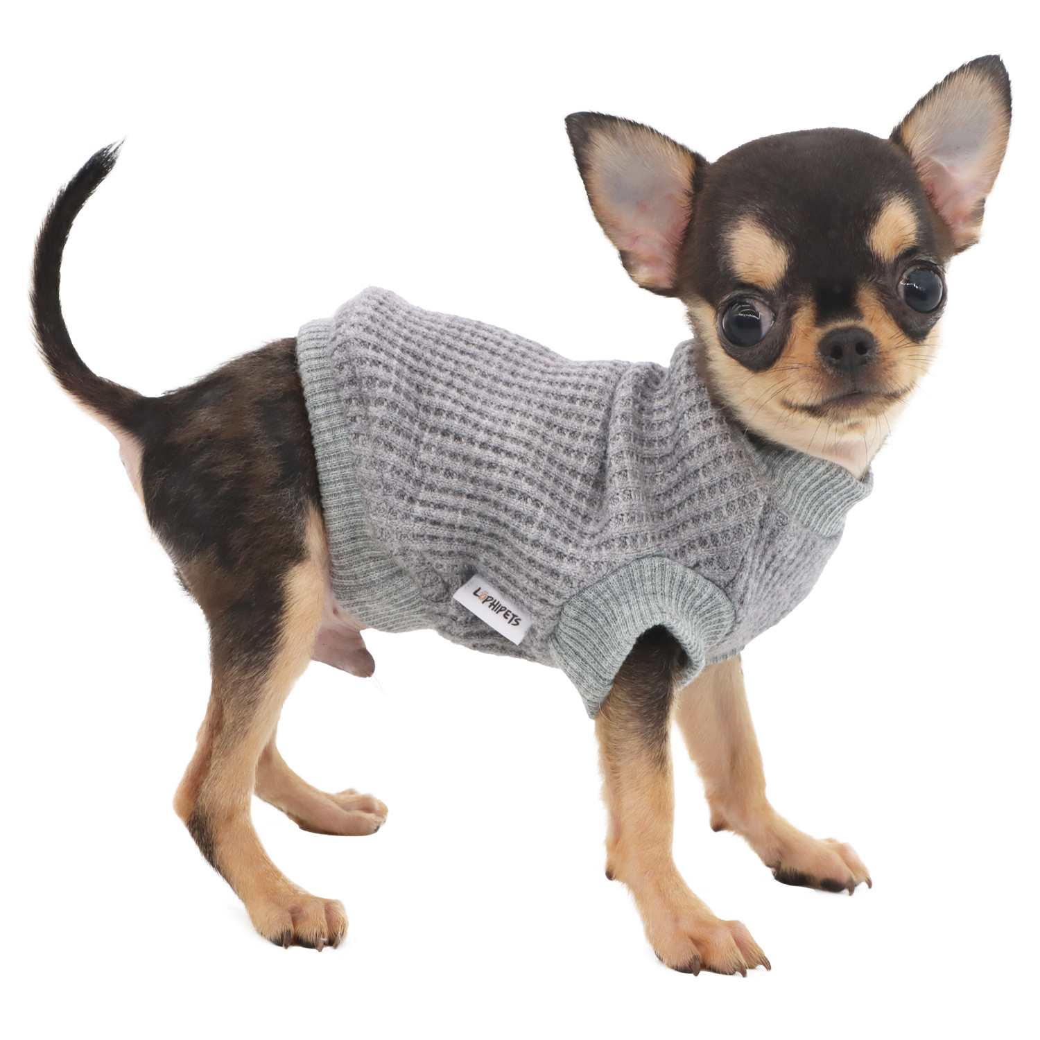 Lophipets sweater/gray/XXS