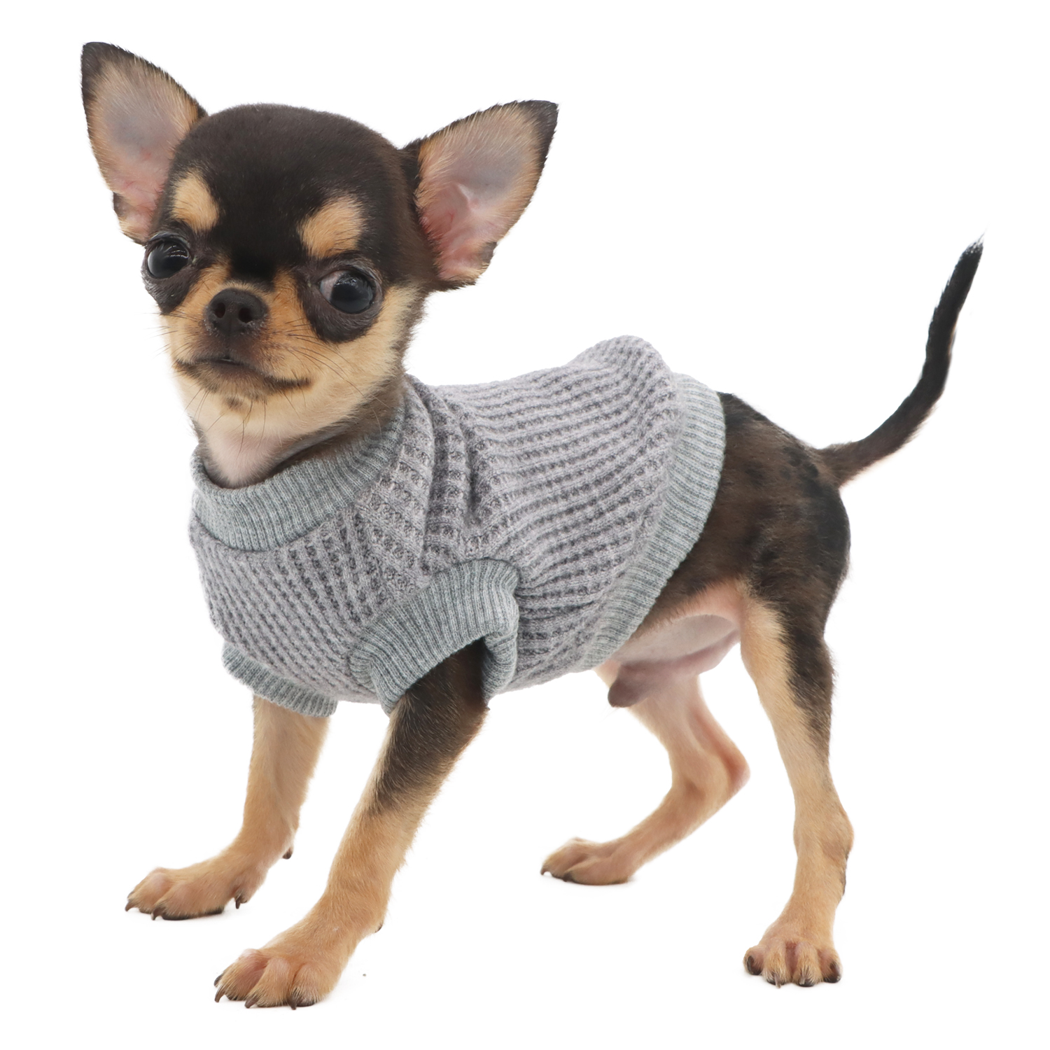 Lophipets sweater/gray/XXS