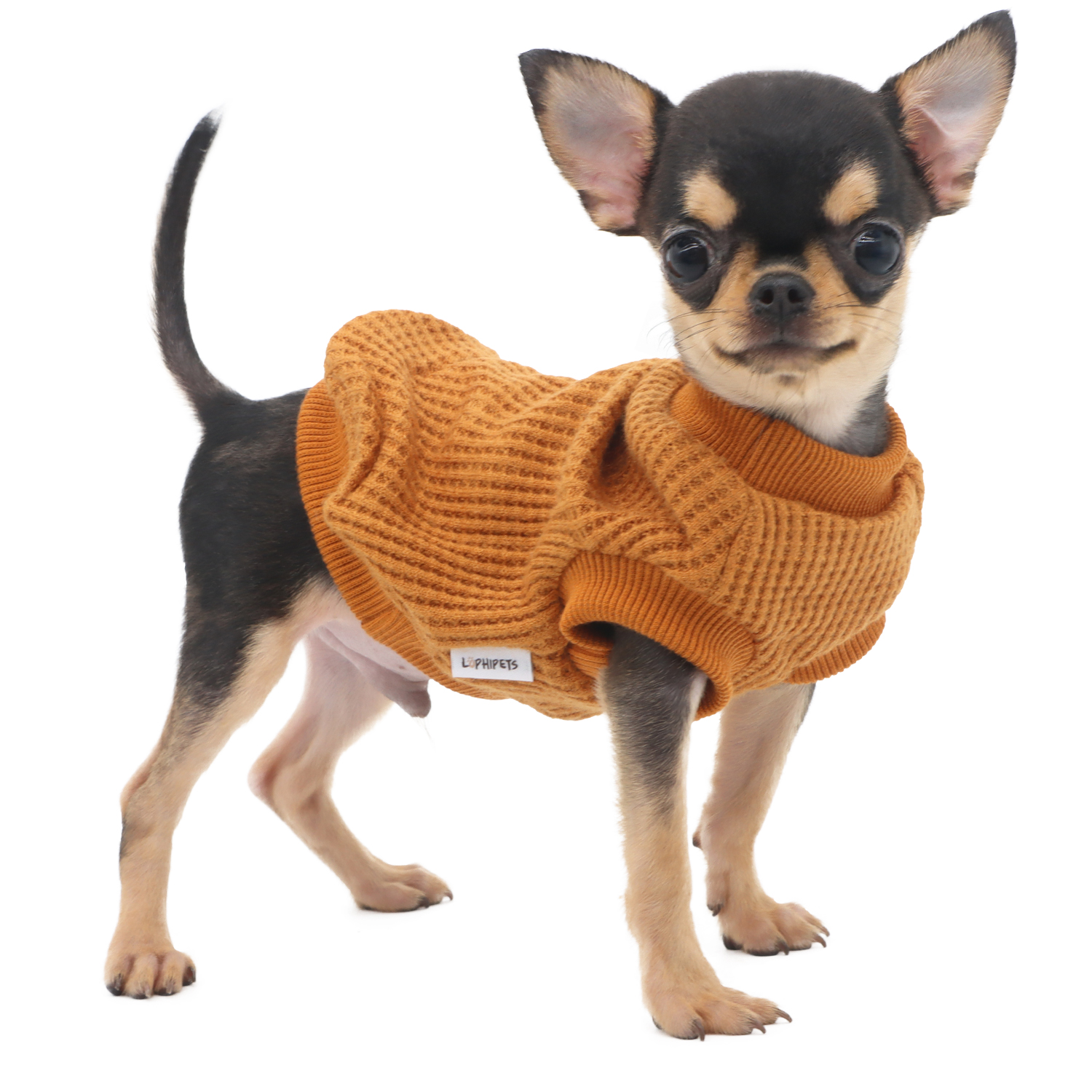 Lophipets sweater/yellow/xxs