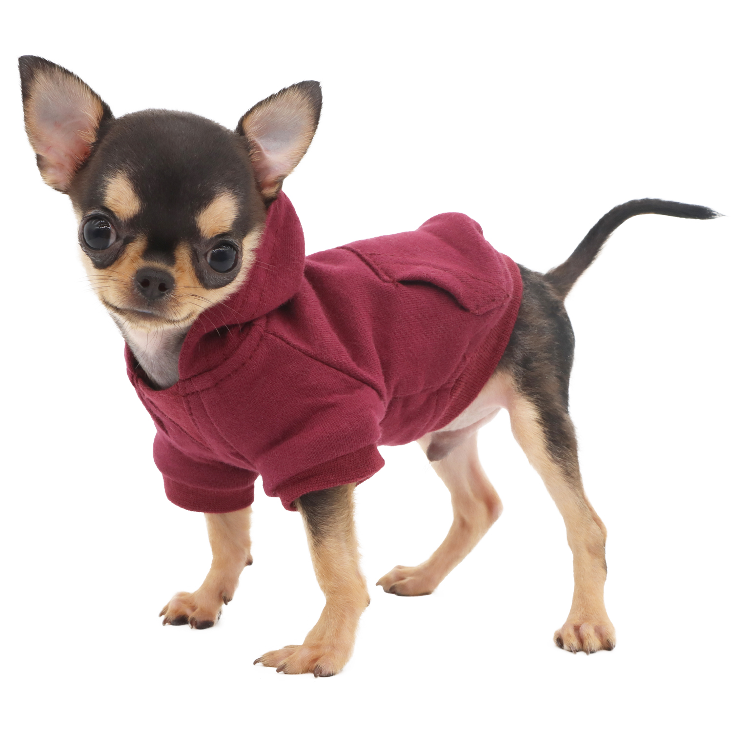 Lophipets new sweatshirt/ red/ xxs