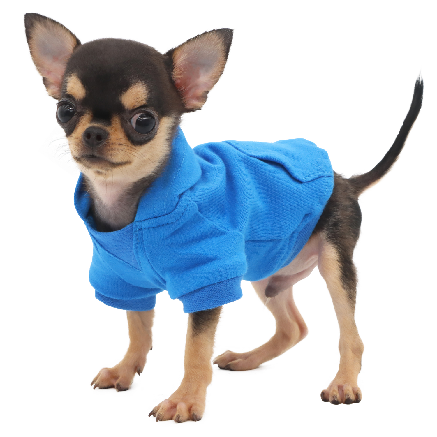 Lophipets new sweatshirt/ blue/xxs