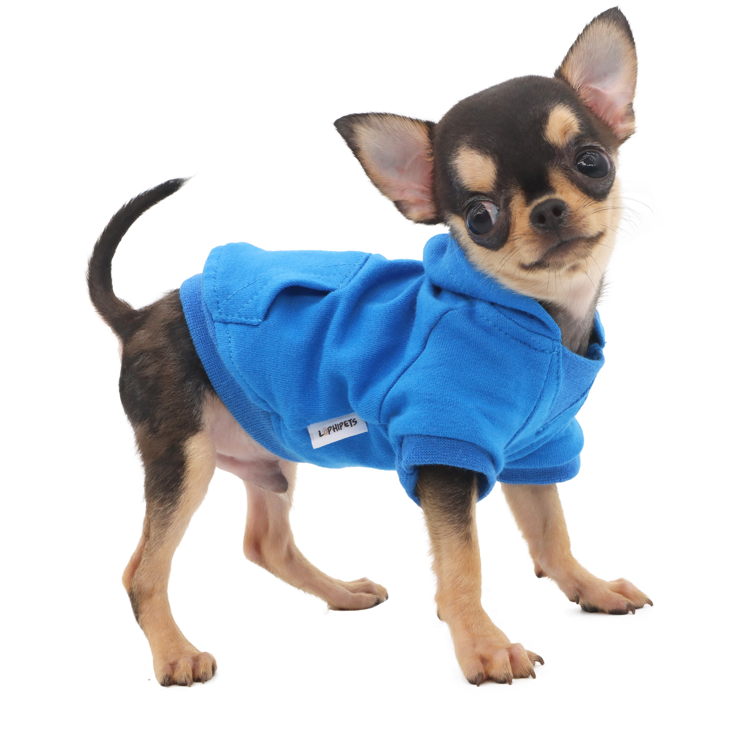 Lophipets new sweatshirt/ blue/xxs