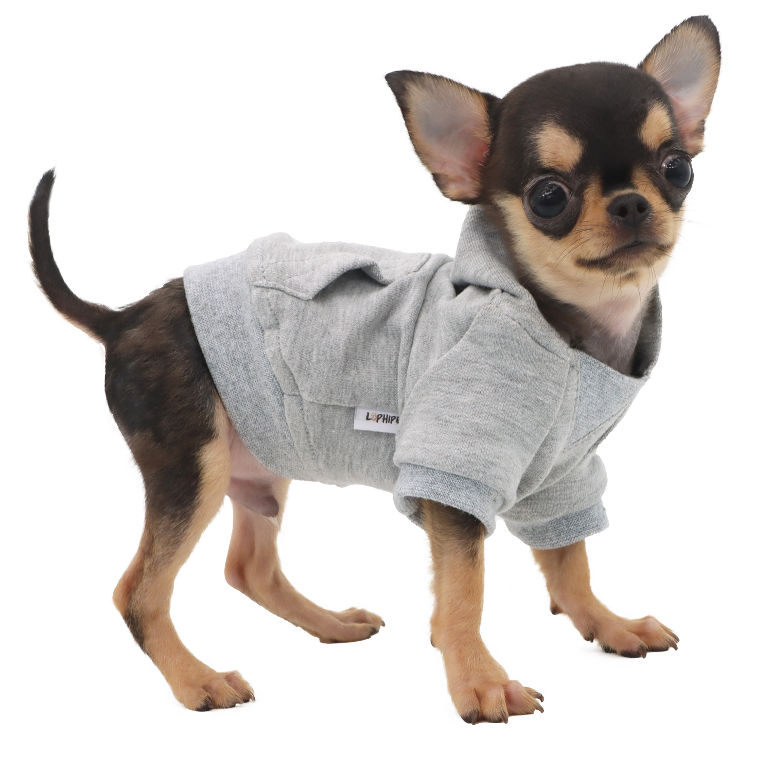 Lophipets new sweatshirt/ gray/xxs