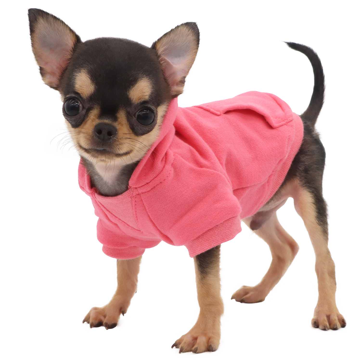 Lophipets new sweatshirt/ pink/xxs