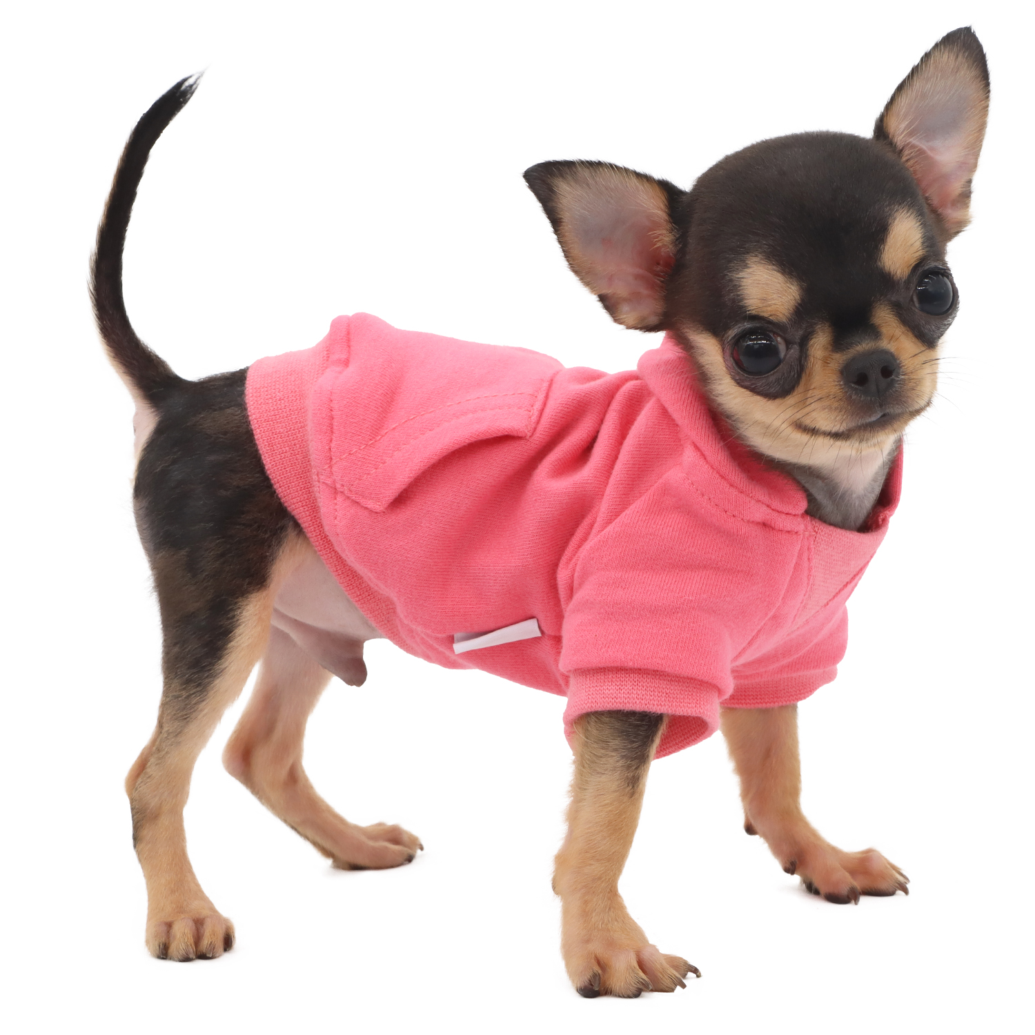 Lophipets new sweatshirt/ pink/xxs