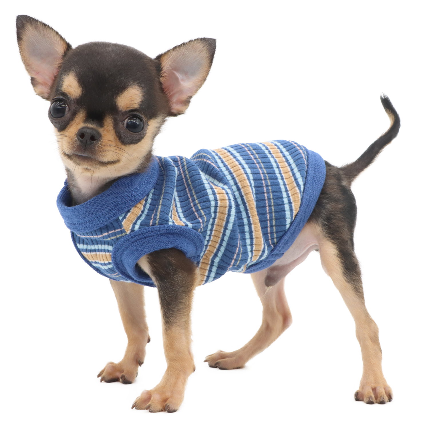 Lophipets pit strip vest/ Blue/xxs