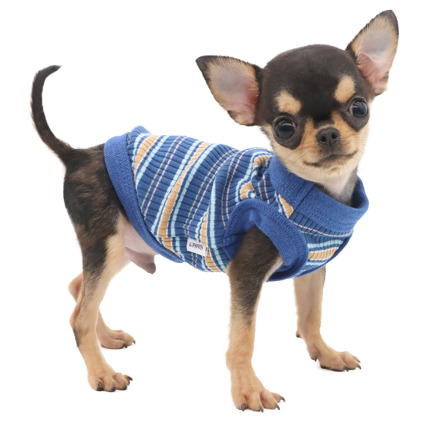 Lophipets pit strip vest/ Blue/xxs