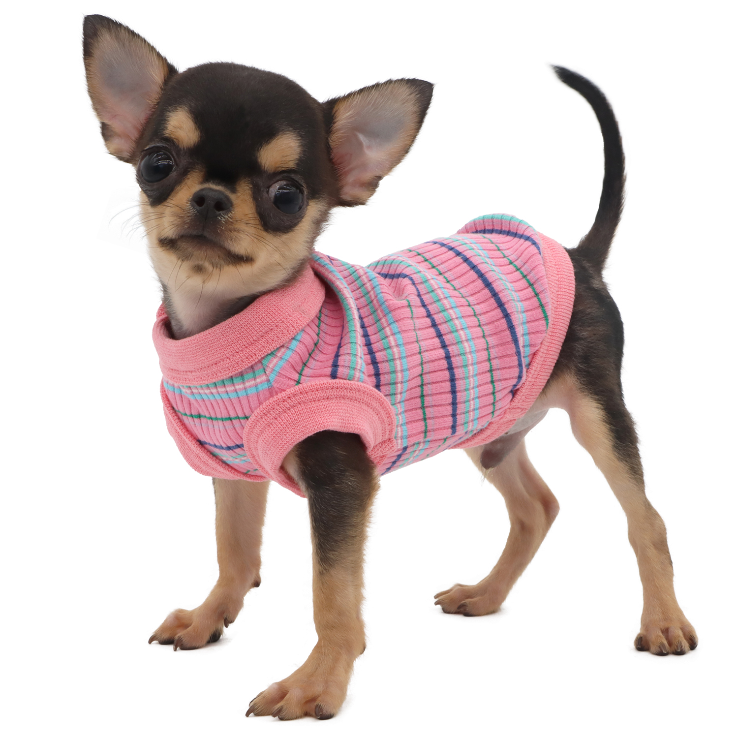 Lophipets pit strip vest/ Pink/xxs
