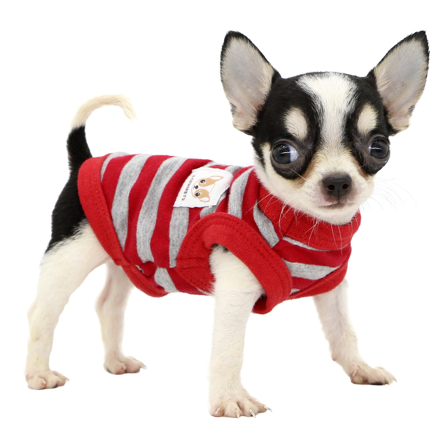 Lophipets Dog Shirts/Red XXS