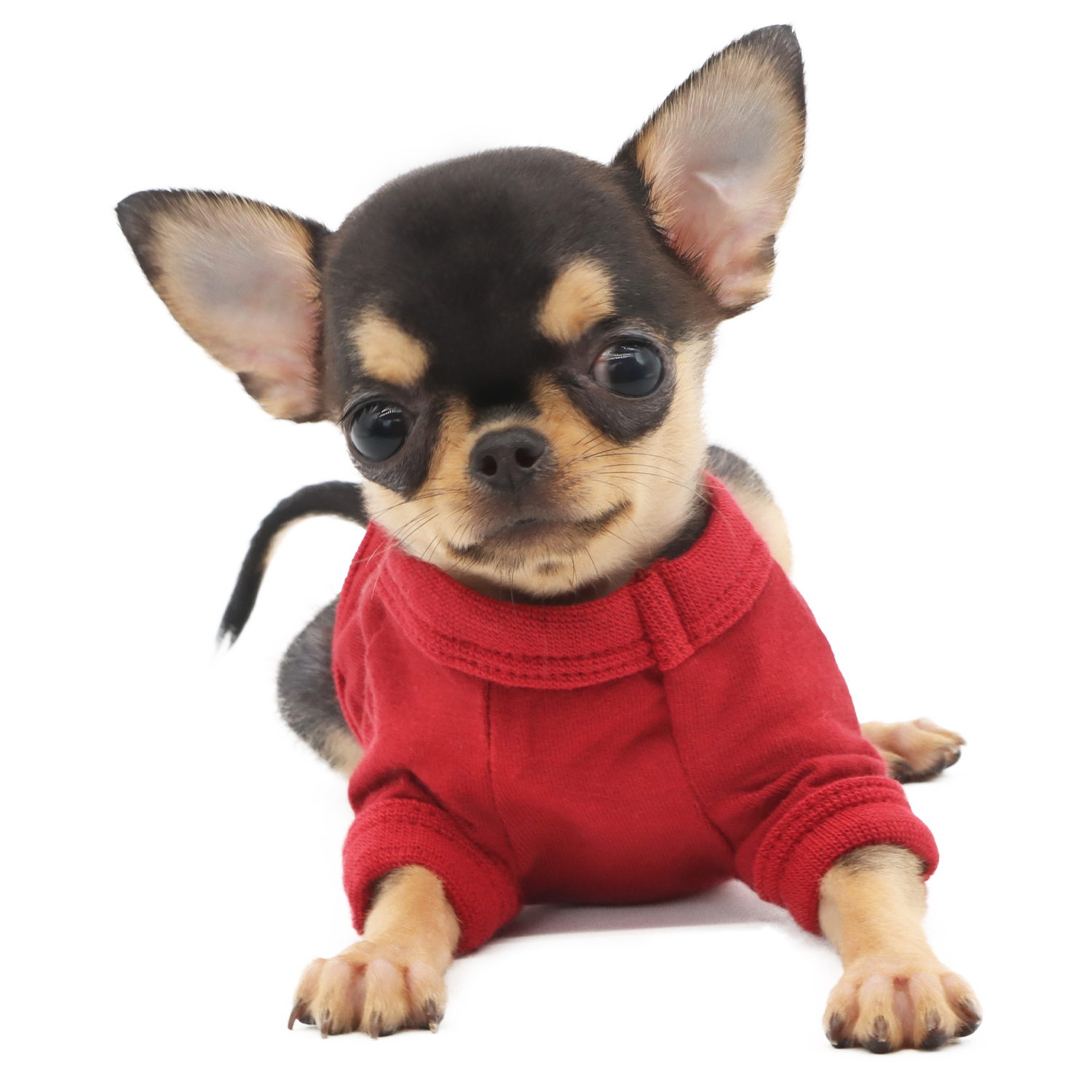 Lophipets solid color vest/ Red/xxs