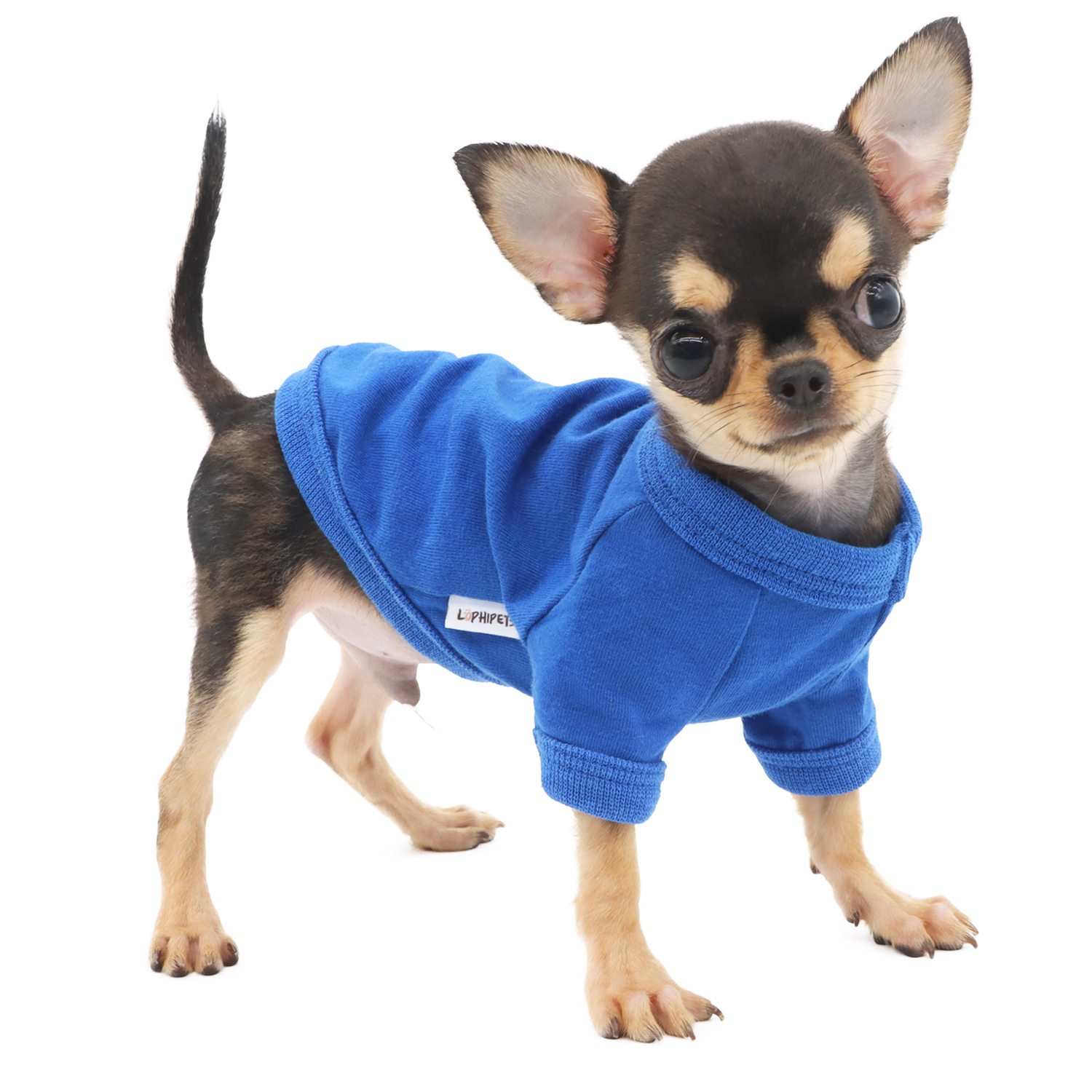 Lophipets solid color vest/ Blue/xxs