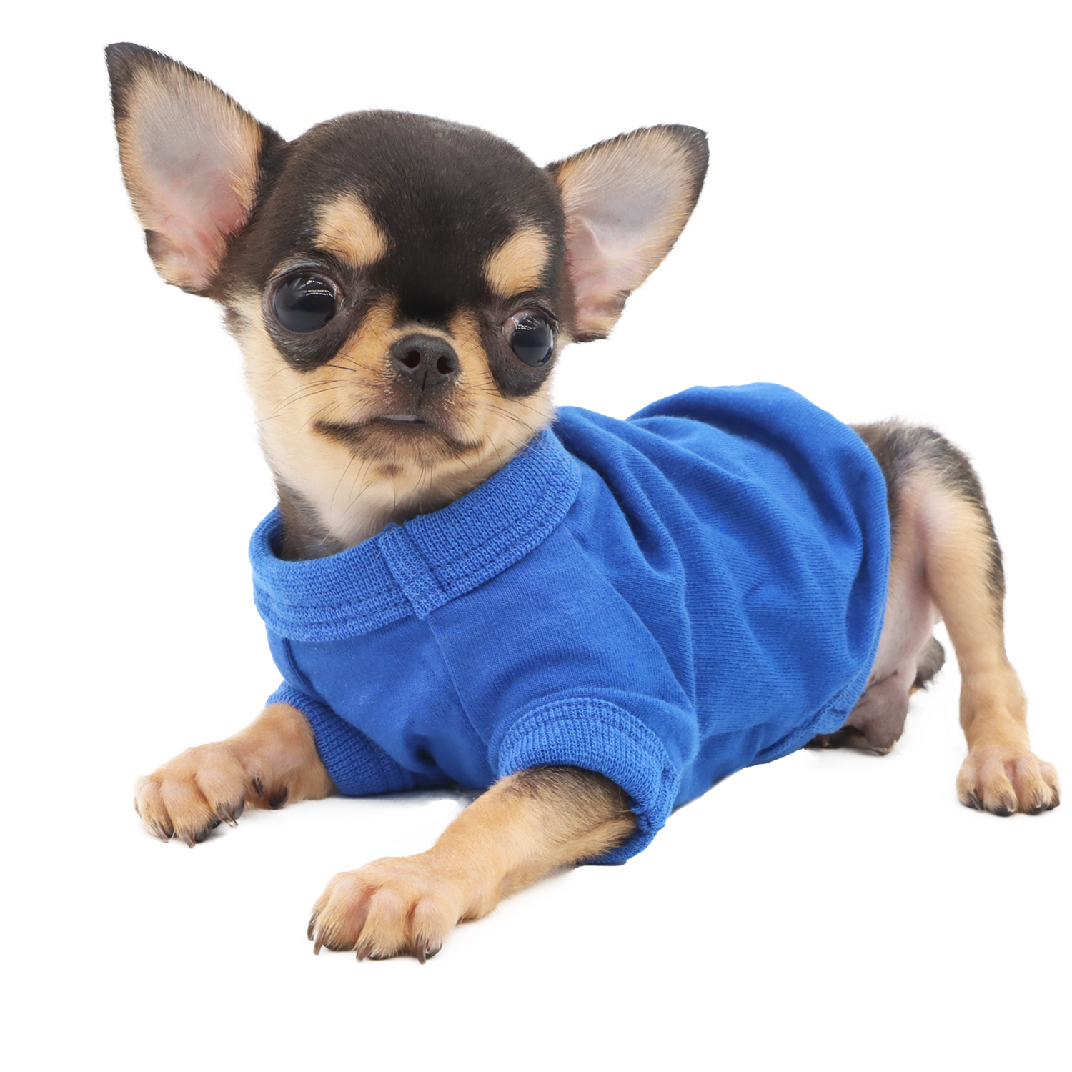 Lophipets solid color vest/ Blue/xxs