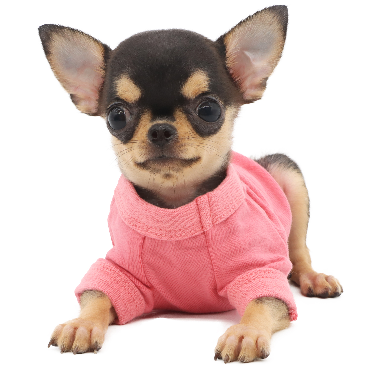 Lophipets solid color vest/ Pink/xxs