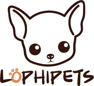 Shenzhen Shirong E-Commerce Co., Ltd.