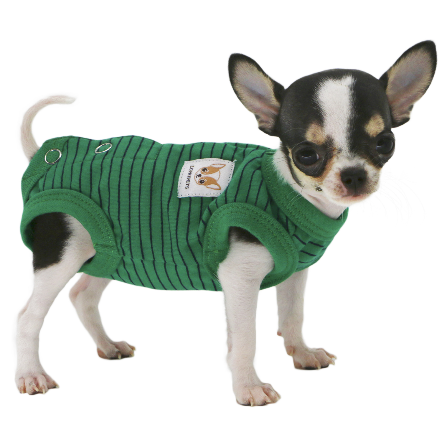 Lophipets pajamas/ Green/xxs