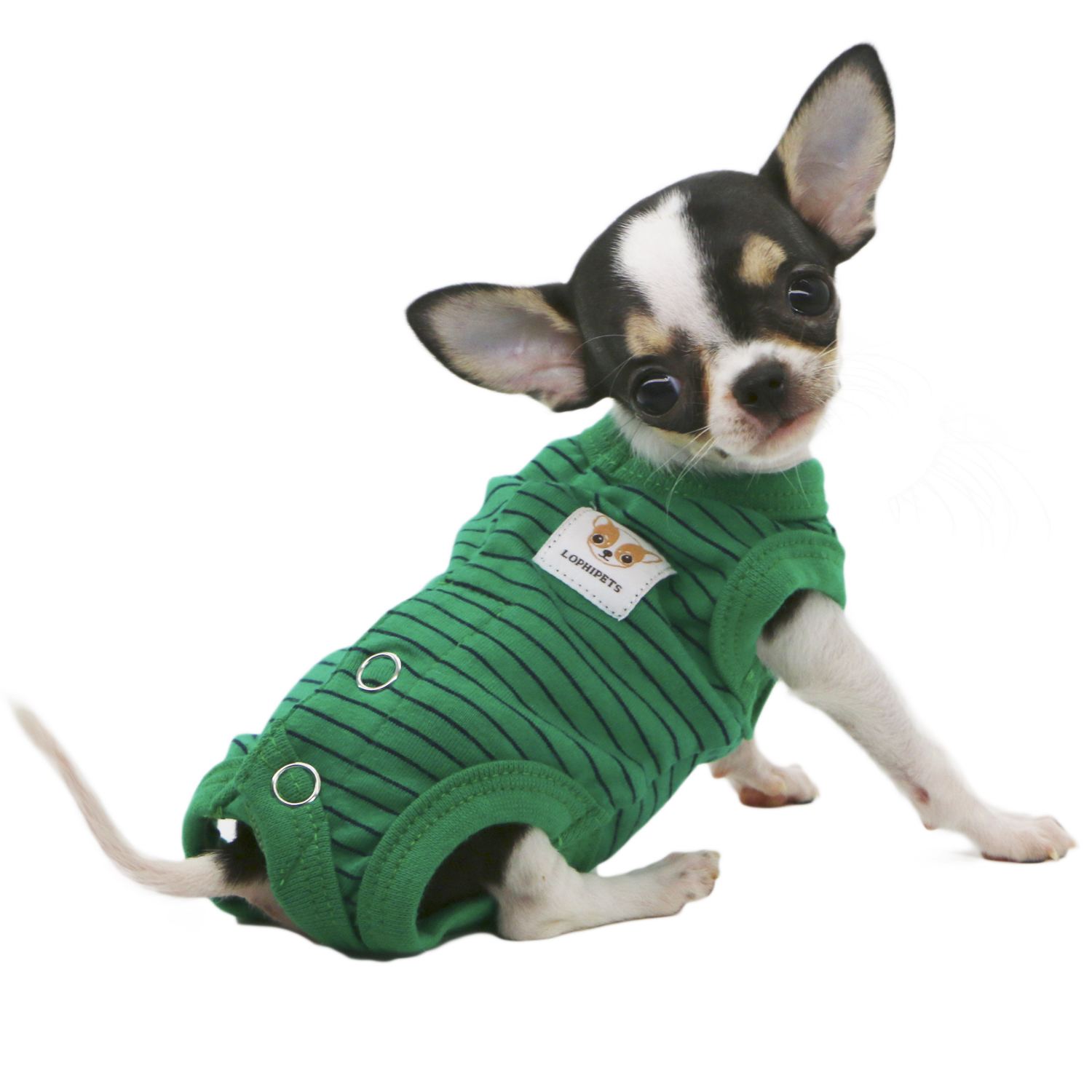 Lophipets pajamas/ Green/xxs