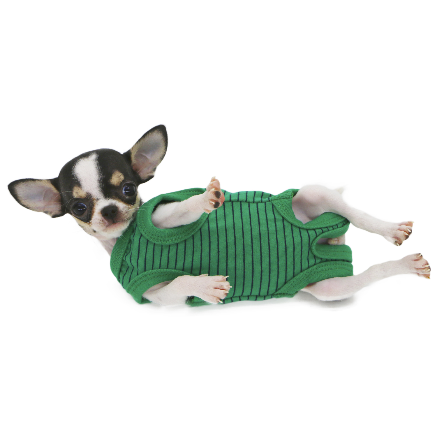Lophipets pajamas/ Green/xxs