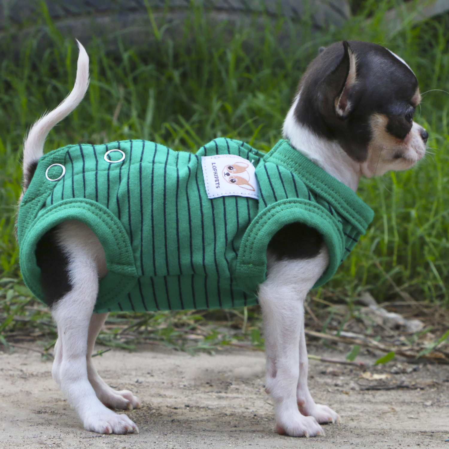 Lophipets pajamas/ Green/xxs