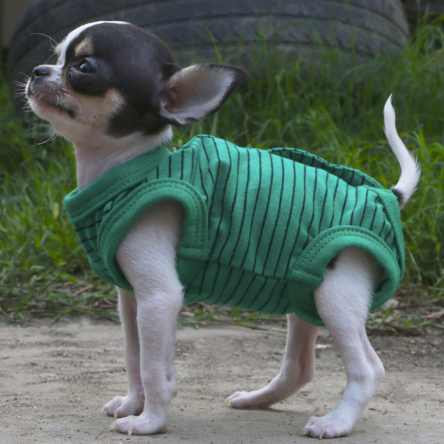 Lophipets pajamas/ Green/xxs