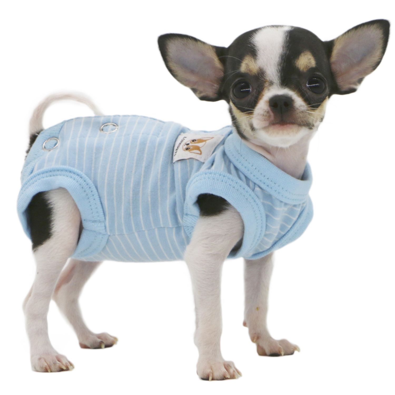 Lophipets pajamas/ Sky blue/xxs