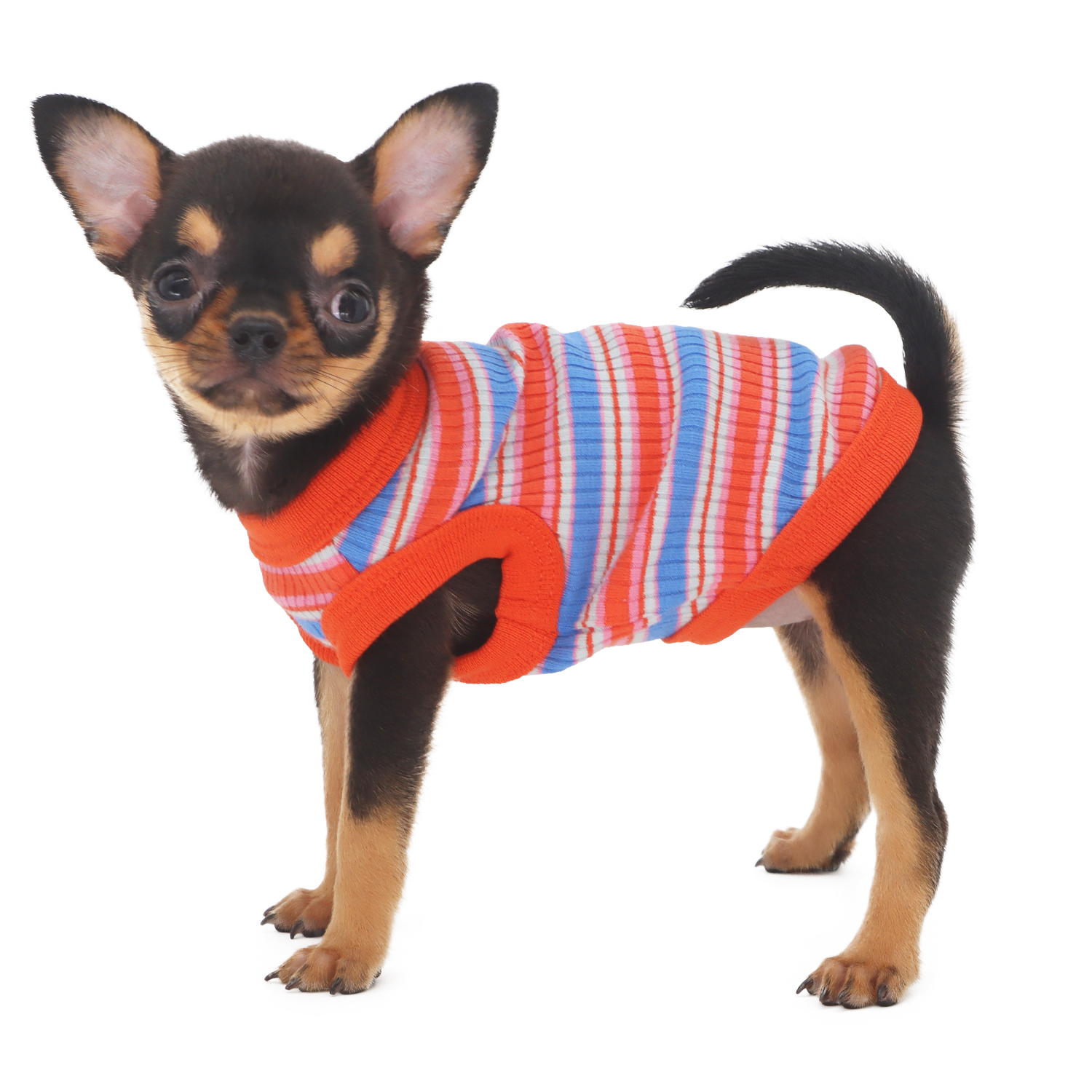Lophipets pit strip vest/ Red/xxs