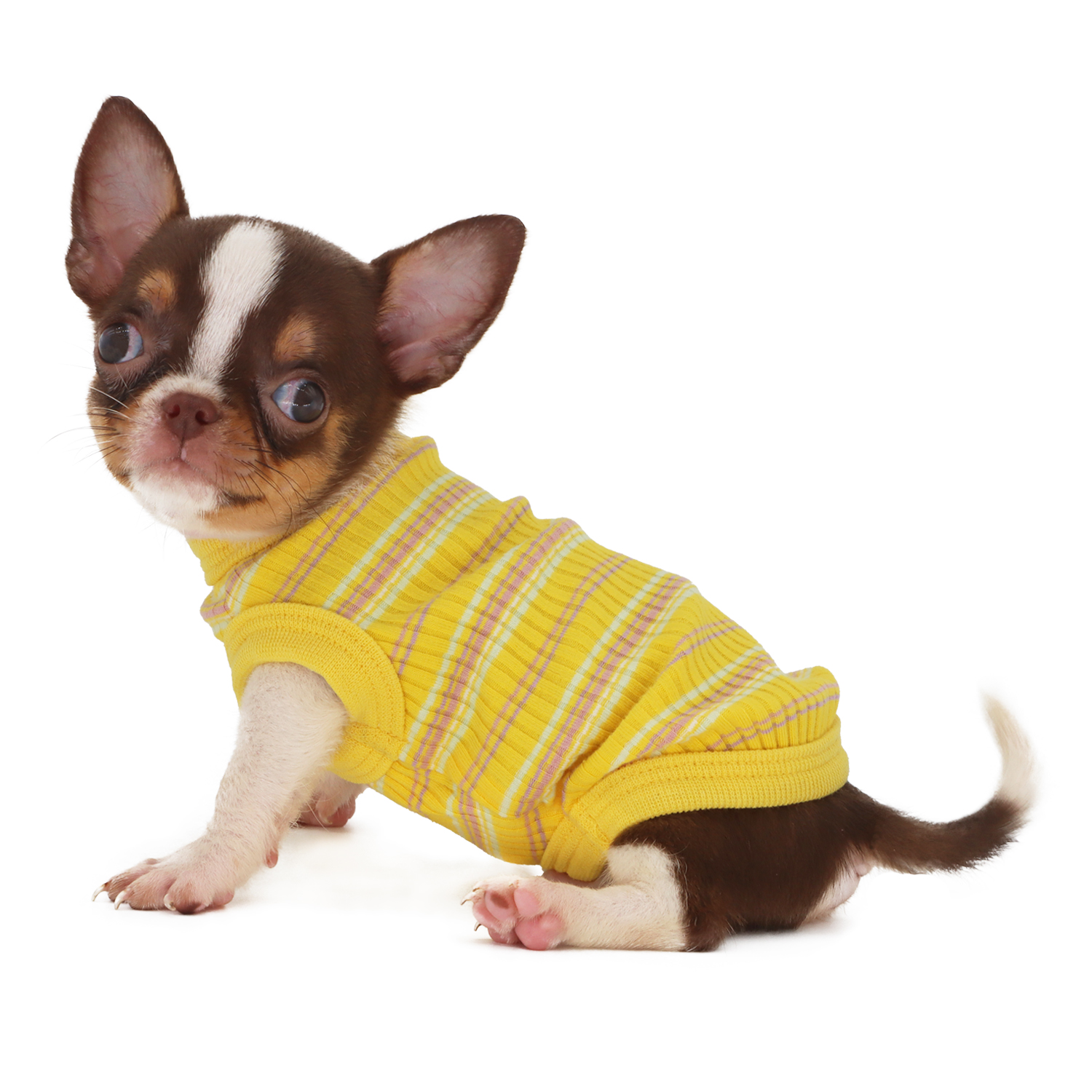Lophipets pit strip vest/Yellow/xxs