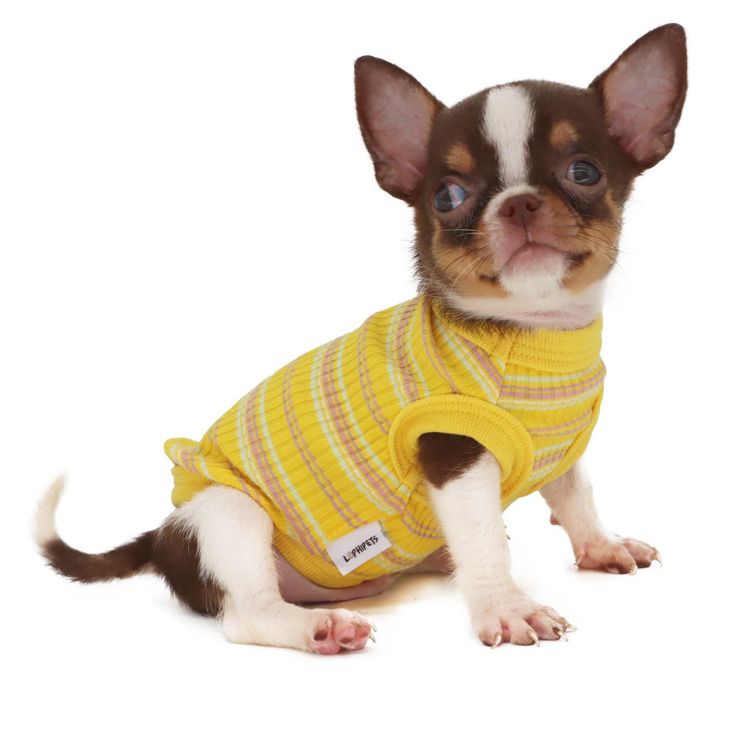 Lophipets pit strip vest/Yellow/xxs
