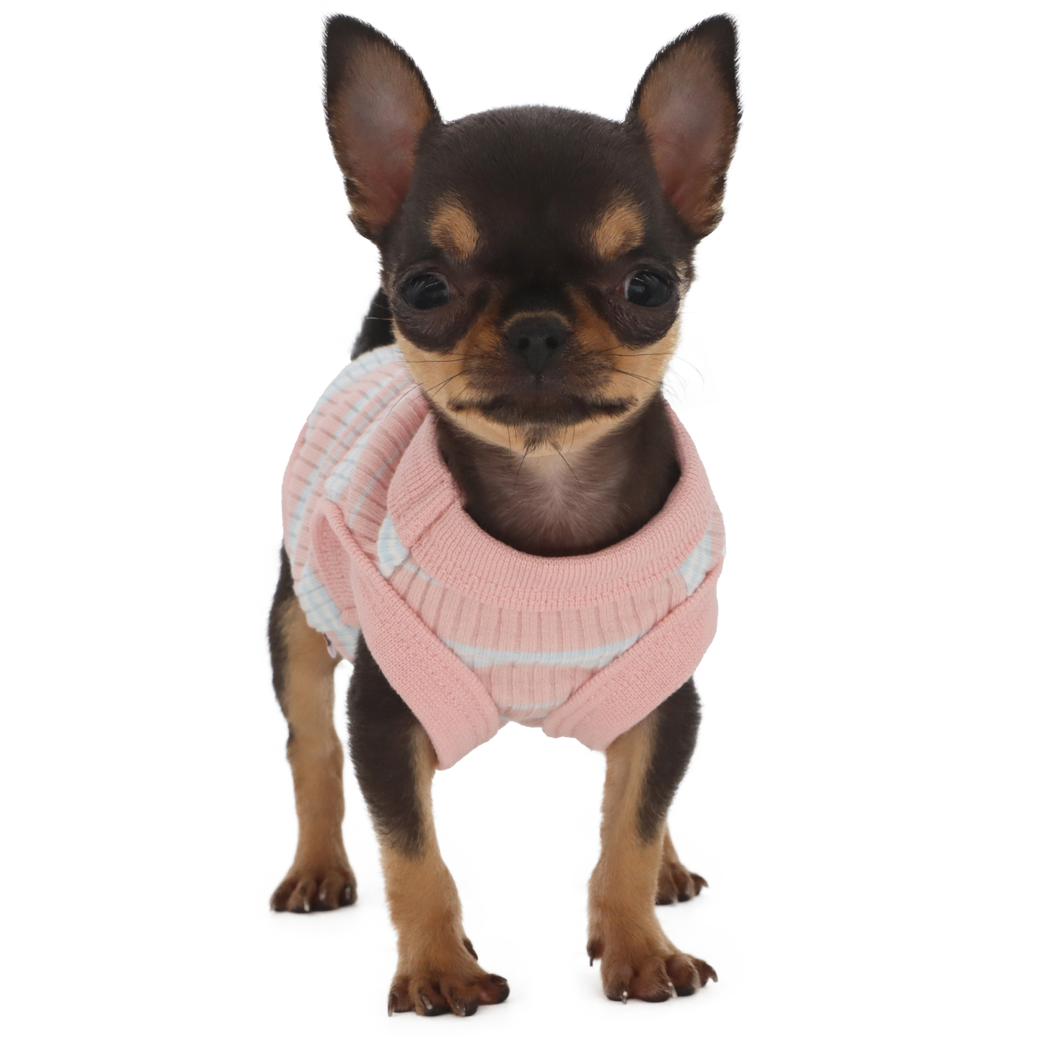 Lophipets pit strip vest/Light pink/xxs