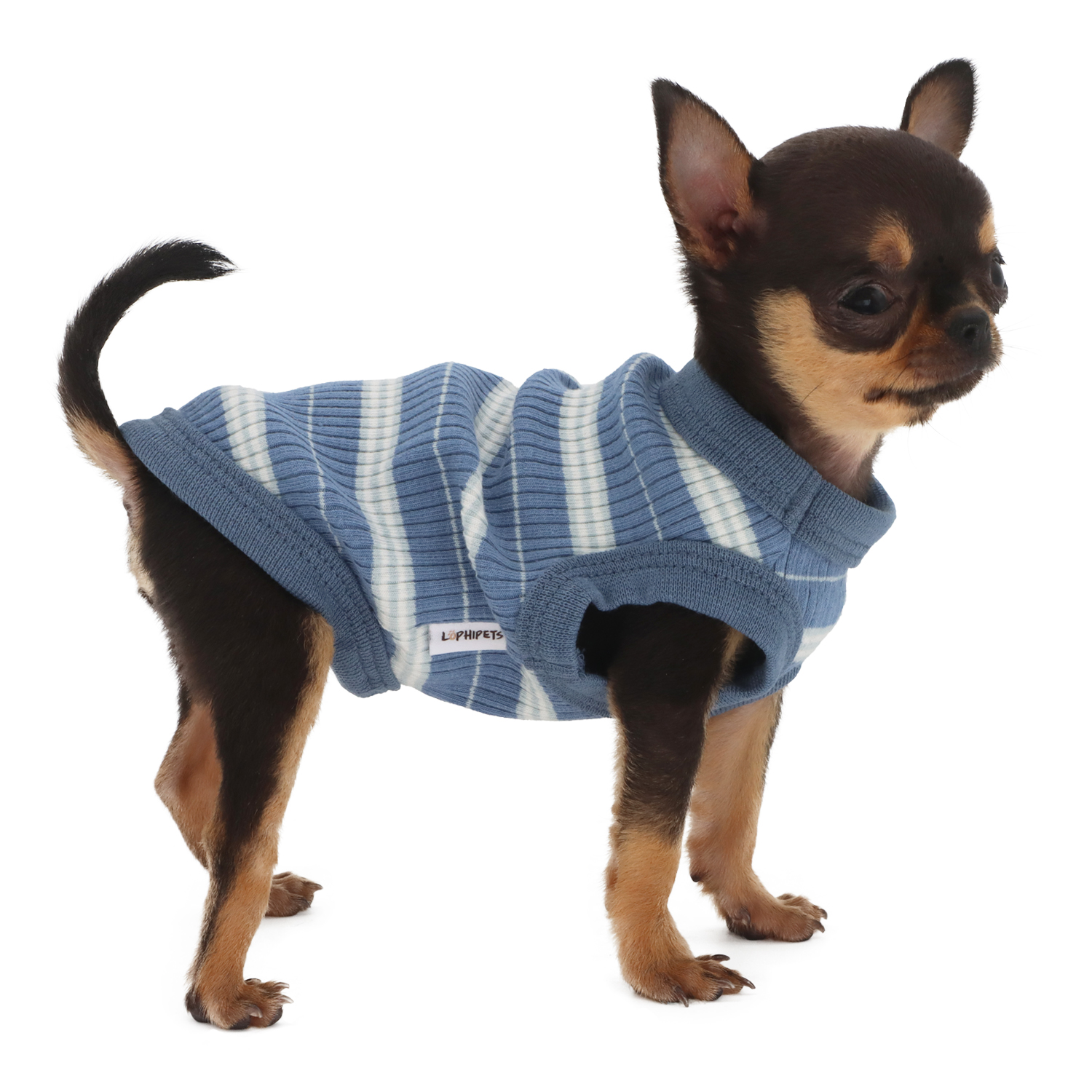 Lophipets pit strip vest/Light blue/xxs
