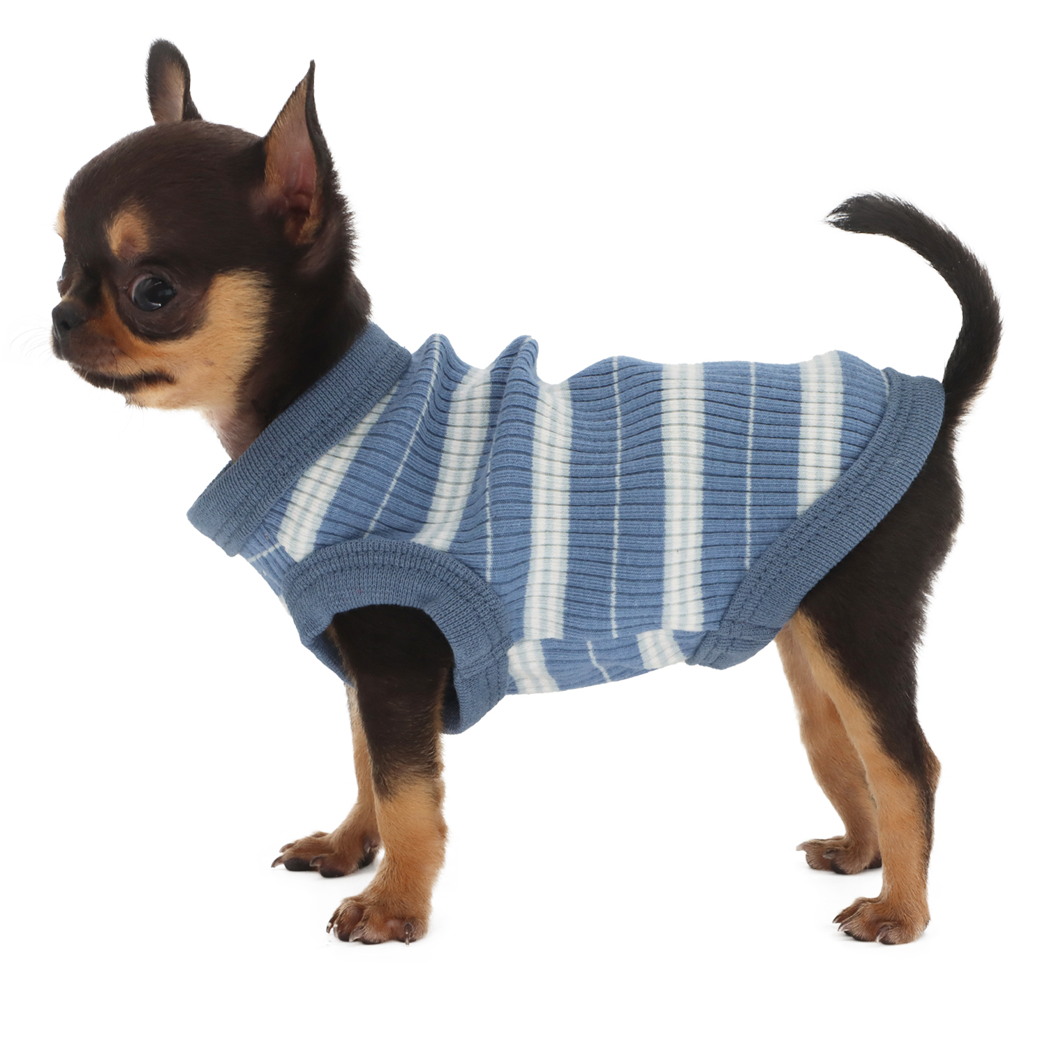 Lophipets pit strip vest/Light blue/xxs