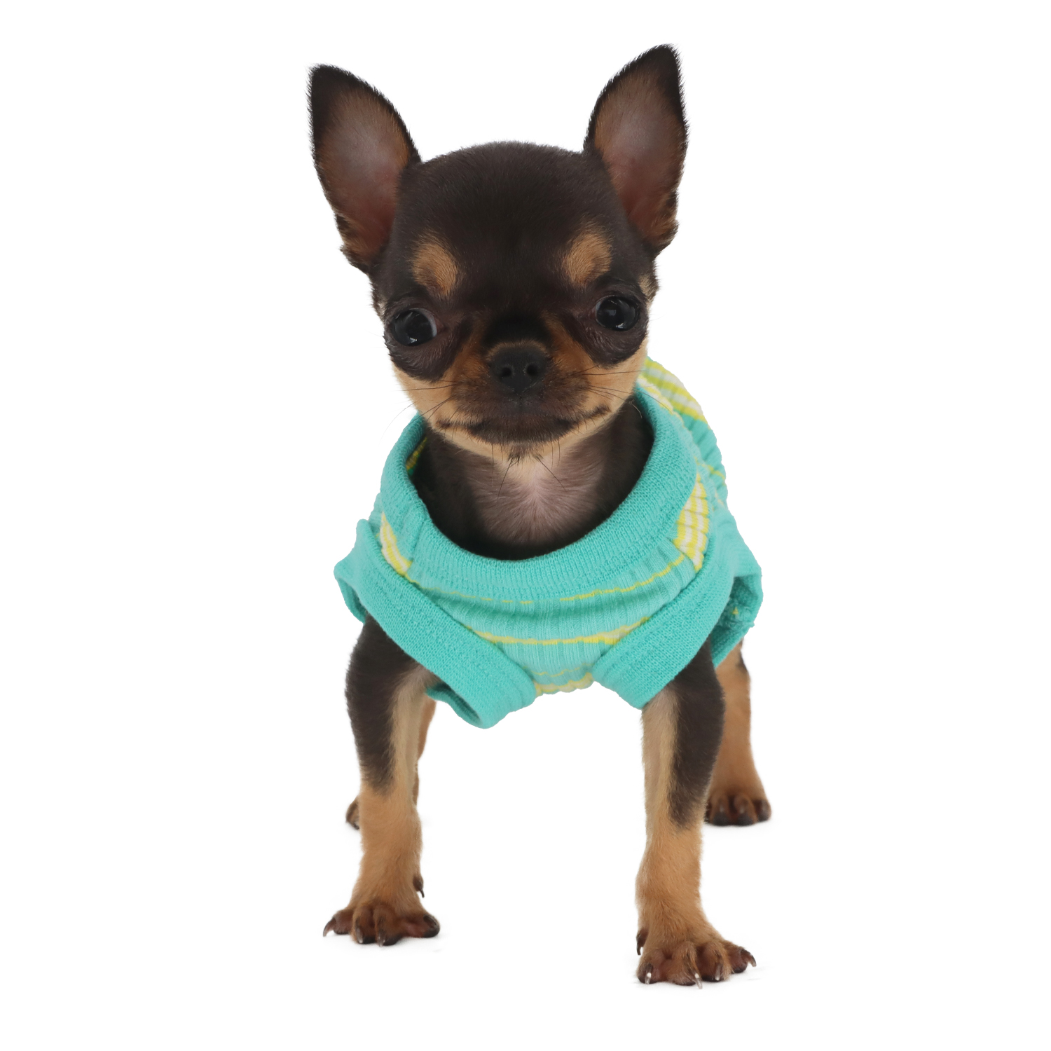 Lophipets pit strip vest/ Green/xxs