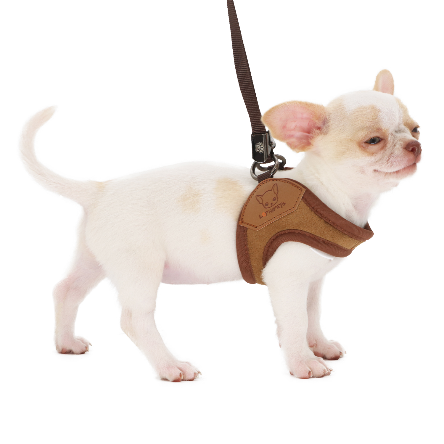 Lophipets Pet Chest Strap & Traction Rope/Coffee/S