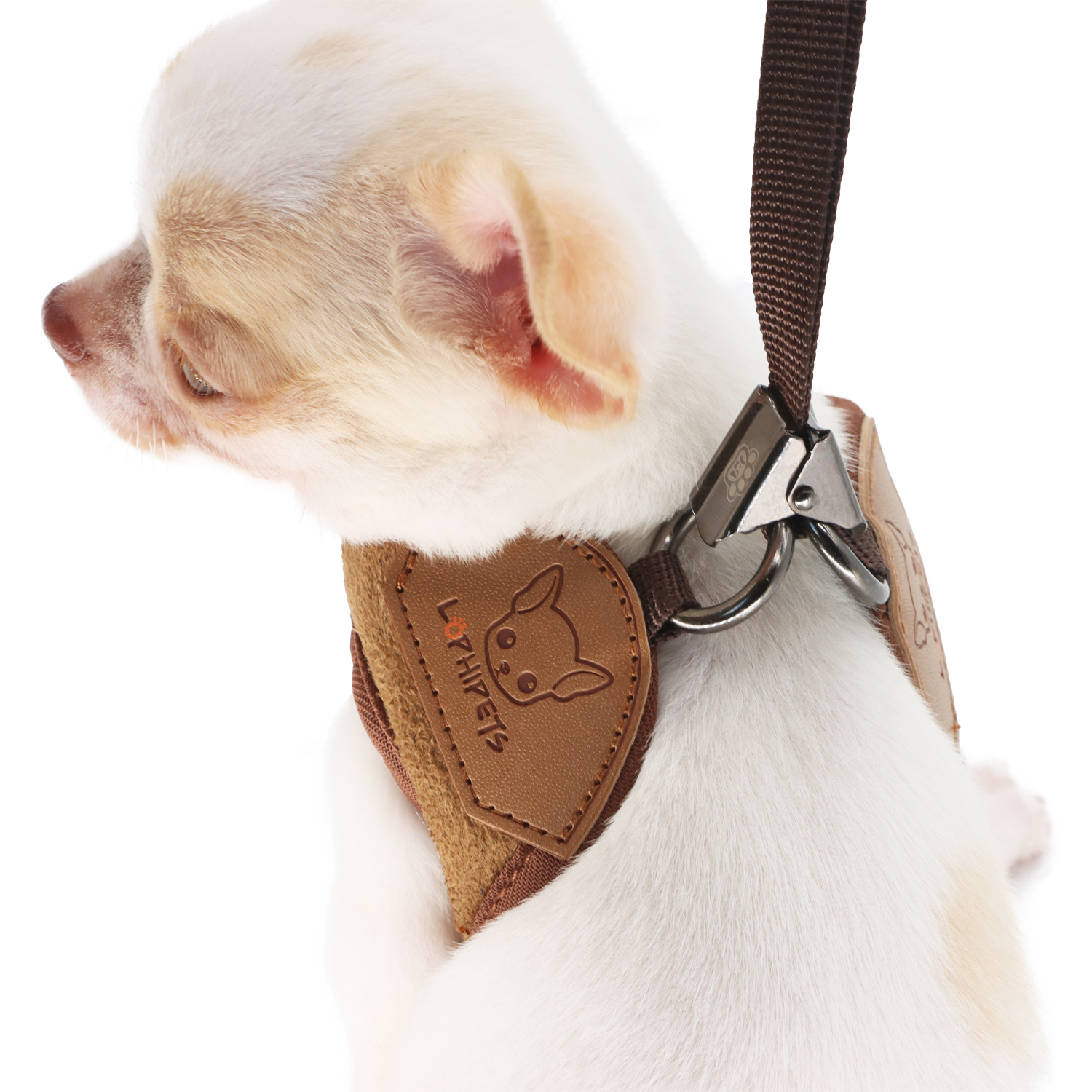 Lophipets Pet Chest Strap & Traction Rope/Coffee/S