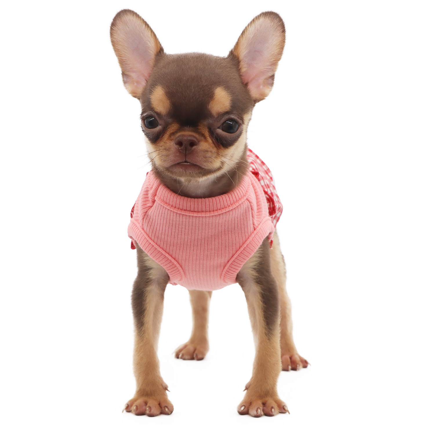 Lophipets new plaid dress/Red and White/XXS