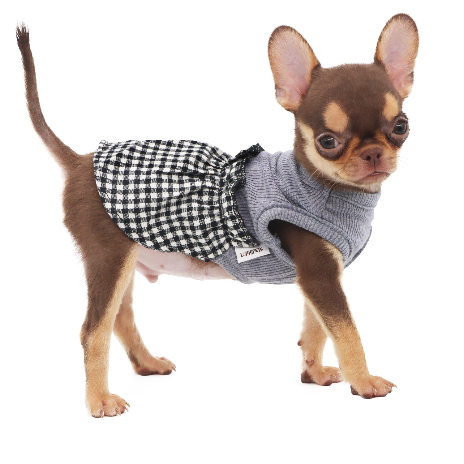 Lophipets new plaid dress/Black and White/XXS