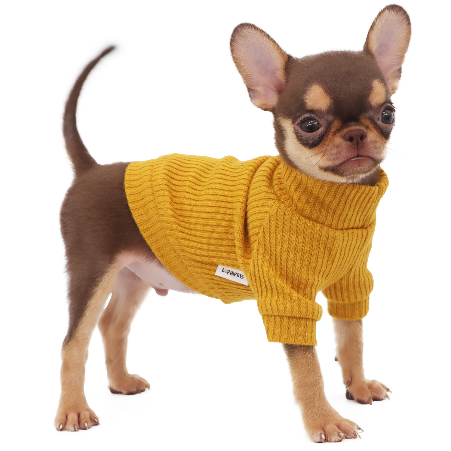 Lophipets new high-neck long-sleeved sweater/Yellow/XXS