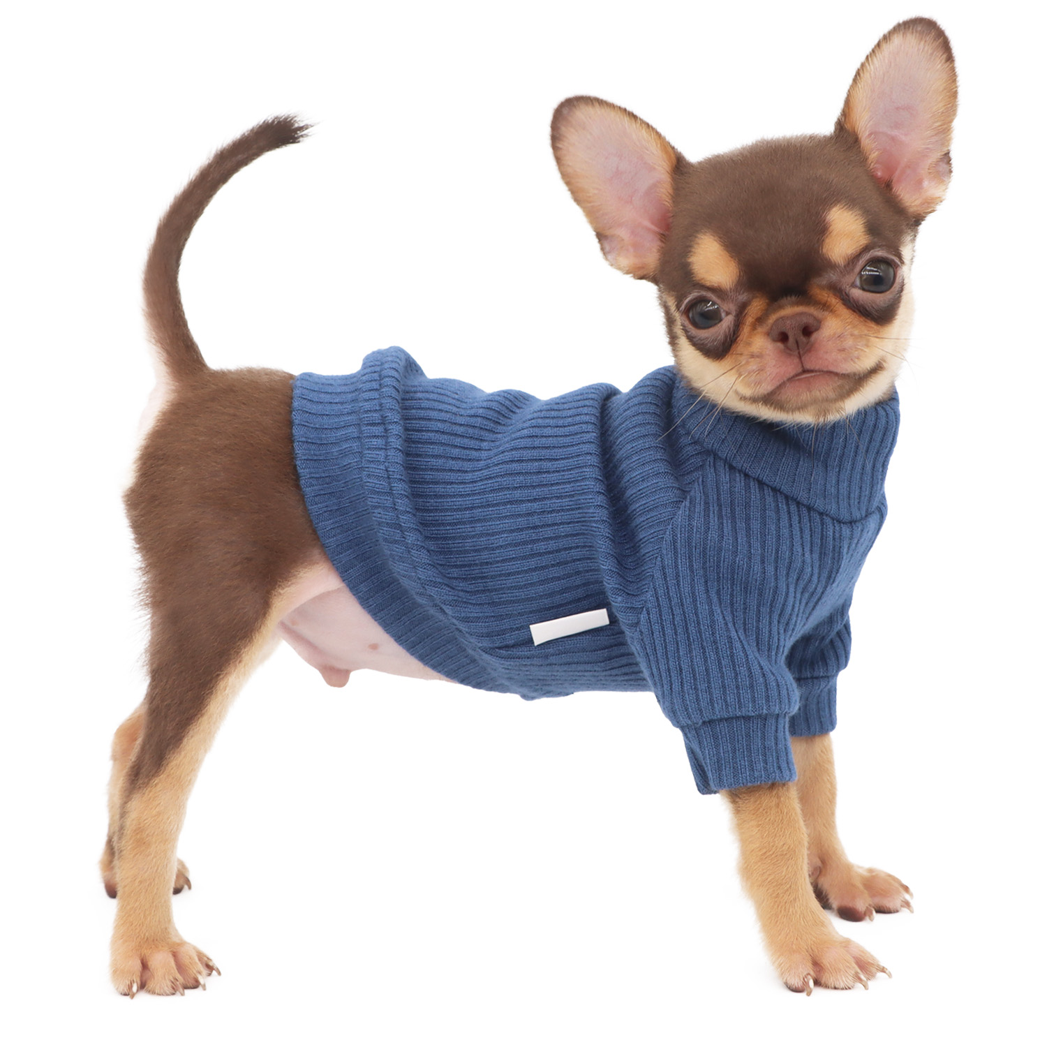 Lophipets new high-neck long-sleeved sweater/Blue/XXS