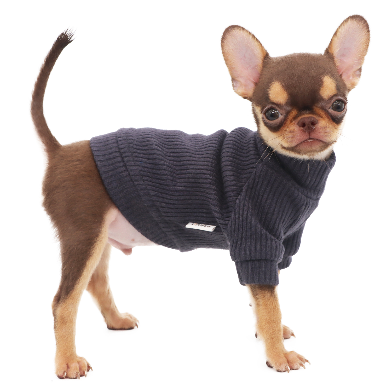 Lophipets new high-neck long-sleeved sweater/Dark Gary/XXS
