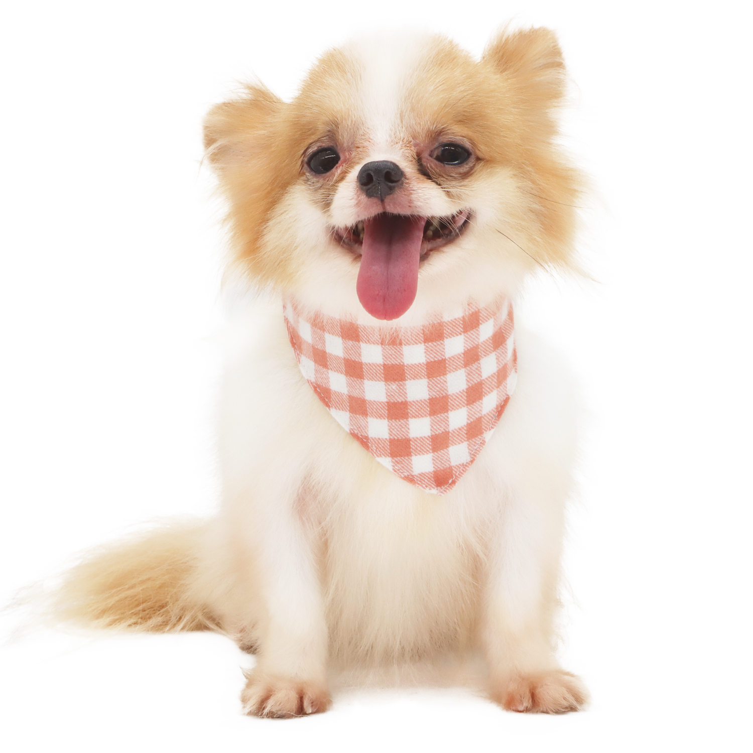 Lophipets new checkered triangular scarf-Pink-M