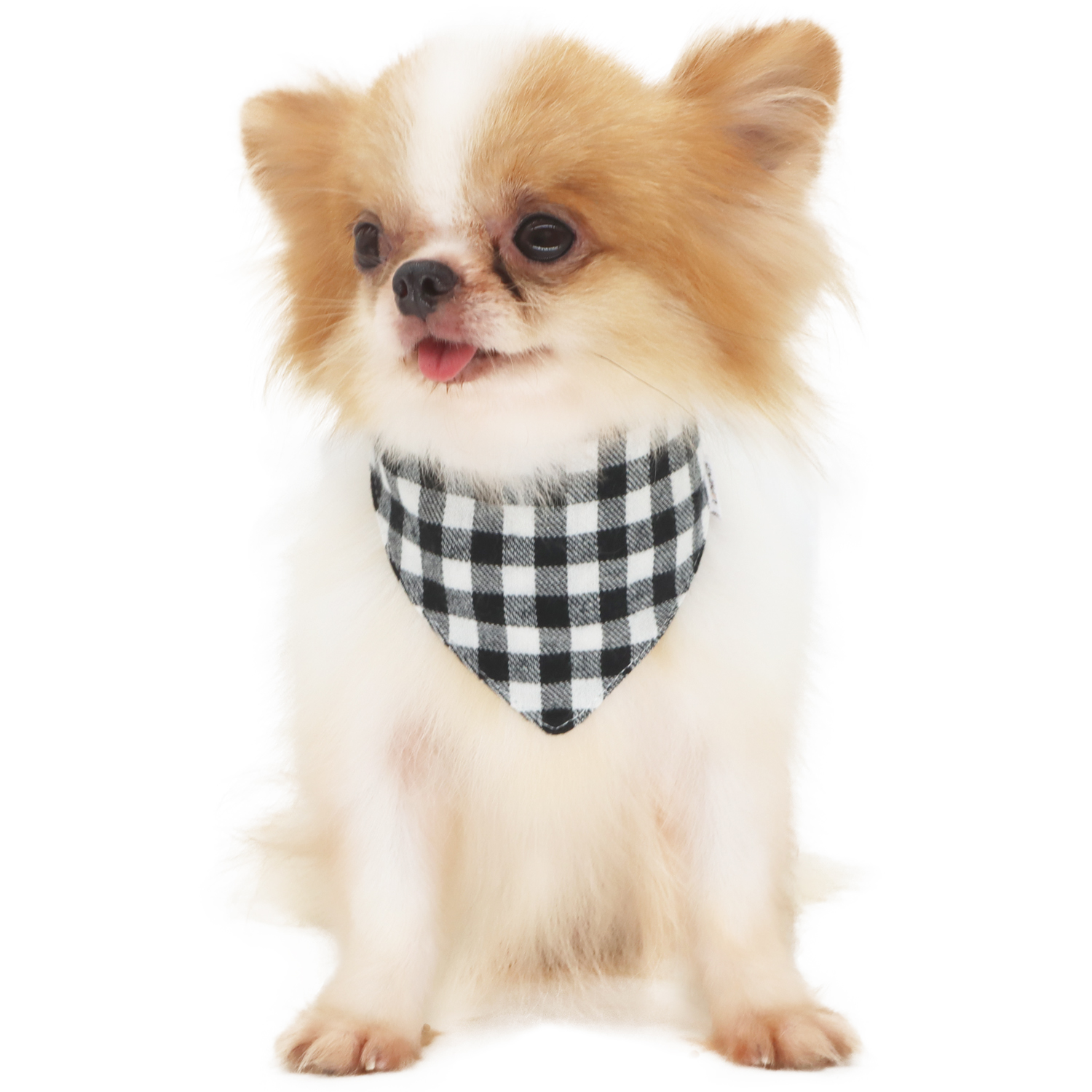 Lophipets new checkered triangular scarf-Black-M
