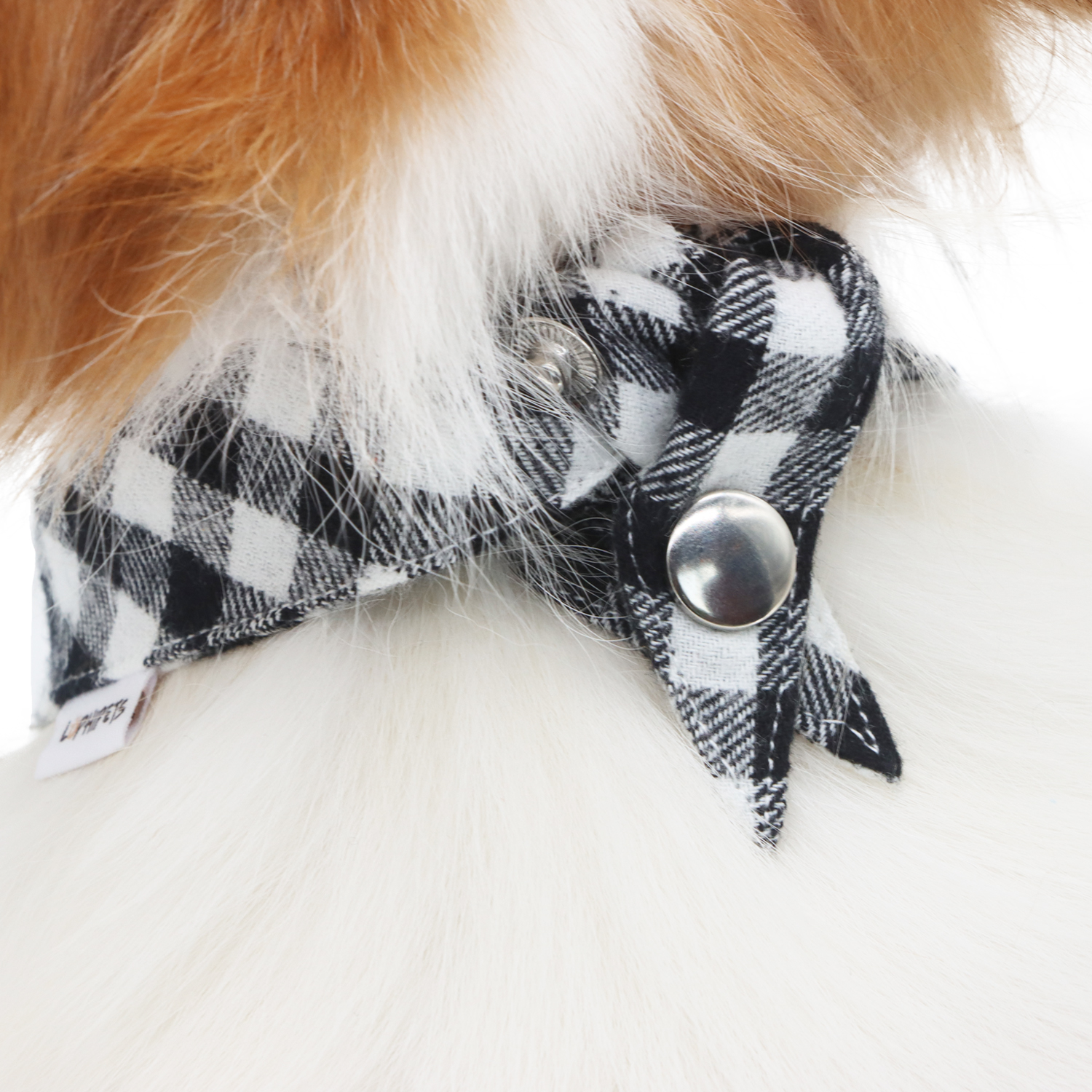 Lophipets new checkered triangular scarf-Black-M
