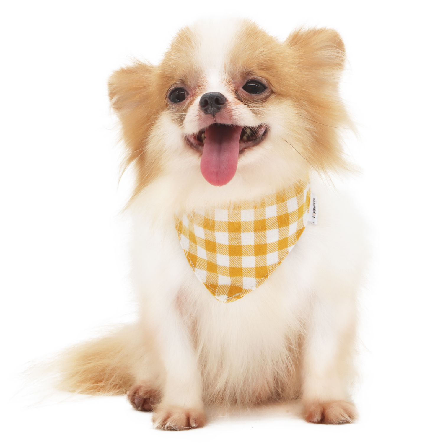 Lophipets new checkered triangular scarf-Yellow-M